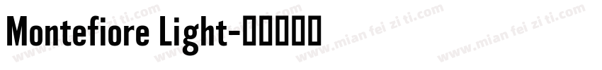 Montefiore Light字体转换
